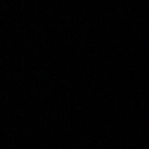 Meet your Posher, Phil